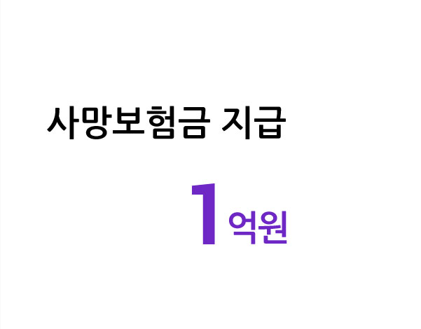 보장금액정보 이미지