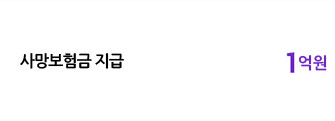 보장금액정보 이미지
